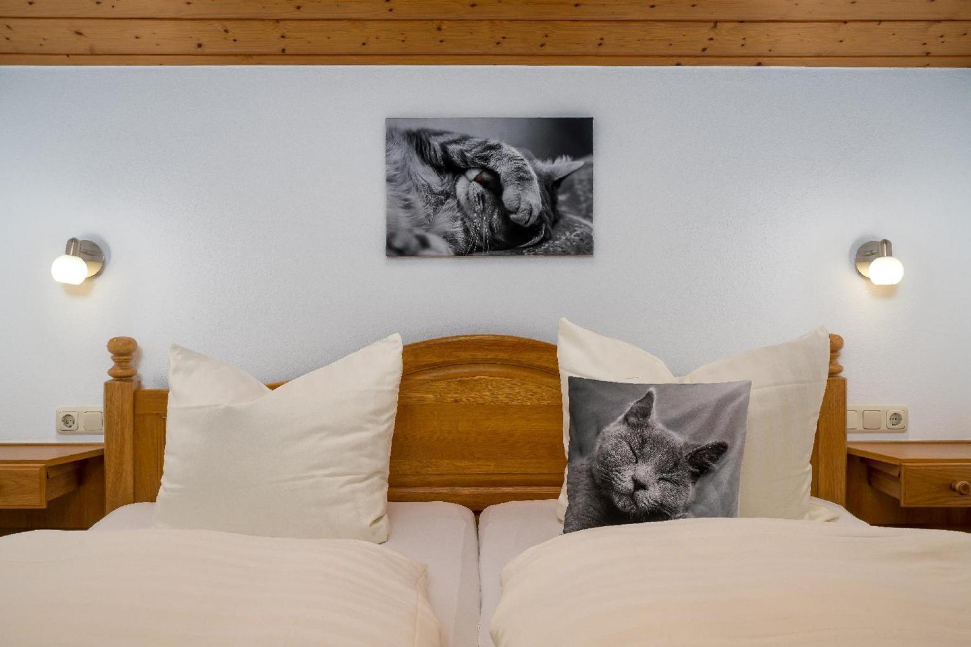 Bauernhof Suesshof Apartman Zwiesel Kültér fotó